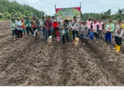 Penanaman Jagung Serentak Kuartal I, Polsek Makarti jaya Dukung Swasembada Pangan 2026