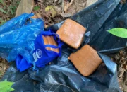 Polsek Mendo Barat Amankan 5 Bungkus Diduga Ganja di Kebun Warga Desa Air Duren