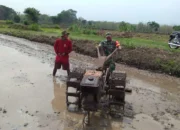 Babinsa Bantu Bajak Sawah, Persiapan Lahan Tanam Padi 