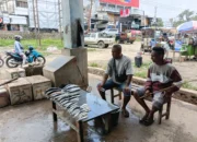 Antara Gelombang dan Sepinya Pembeli, Pedagang Ikan Tetap Bertahan Demi Keluarga