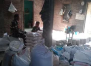 Babinsa Karanggede Turun Cek Pupuk Subsidi, Pastikan Stok Aman dan Harga Tetap Terjangkau