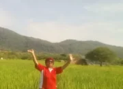Gita, Janda Bertekad: Mengolah Sawah, Menjaga Ketahanan Pangan dari Perbatasan