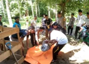 Penemuan Tengkorak Manusia di Pantai Tano, Polisi Dalami Identitas dan Penyebab Kematian