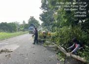 Respon Cepat Polisi Evakuasi Pohon Tumbang, Akses Lintas Timur Sukadana Kembali Normal