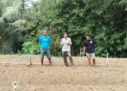 Serangan Hama Ulat Ancam Produksi Bawang di Soppeng, PPL Turun Tangan Dampingi Petani