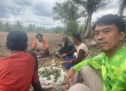 Kades Abbanuange Kembangkan Bawang Merah, Upaya Dorong Produktivitas Petani