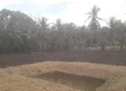 Keterbatasan dan Kendala Alsintan Hambat Pengolahan Lahan Petani di Abbanuange