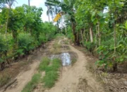 Diduga Pemerintah Tutup Mata, Jalan Rusak di Watan Lompulle Kian Memprihatinkan