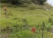 KWT Ansaof Mese Rawat Penghijauan Bukit Kensulat, Jaga Kelestarian “Paru-Paru” Kota Kefamenanu