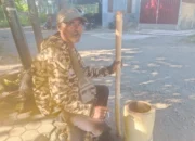 Andalkan Bahu yang Kuat, Filemon Penjual Lesung Keliling Kota Maumere Jadi Simbol Perjuangan Hidup