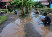 Jalan Rusak di Desa Lampuara Viral, Warga Desak DPRD Luwu Turun Lapangan dan Jangan Hanya Hadir Saat Pemilu