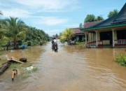 Curah Hujan Tinggi Beberapa Hari Sebabkan Banjir di Dusun Tambak Lamasi Pantai, Air Masuk Rumah Warga dan Genangi Jalan Raya