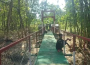 Jembatan Merah Putih Jadi Harapan Baru Warga Cerme, Akses Kecamatan Karang Rayung dan Juwangi Jadi Mudah
