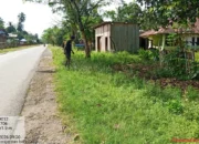 Penyemprotan Bahu Jalan Jadi Langkah Nyata Desa Katobu Dukung Program Liwu MOKESA