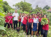Belajar dari Kegagalan, Siswa SMP PGRI 1 Egon Sukses Panen Ubi Ungu Lewat Kokurikuler Berkebun
