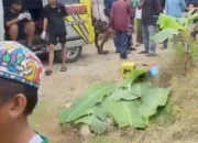 Diduga Libatkan Alat Berat, Kecelakaan di Tambak Babi Banjar Tewaskan Tiga Orang