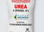 Kelangkaan Pupuk Subsidi di Lilirilau Jejak Persoalan Lama di Balik Janji Ketahanan Pangan