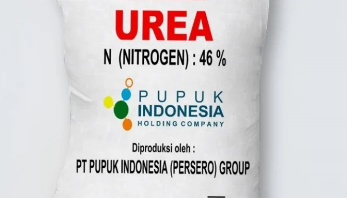 Kelangkaan Pupuk Subsidi di Lilirilau Jejak Persoalan Lama di Balik Janji Ketahanan Pangan