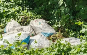 Sampah Berserakan di Jalan Poros Gunung Jaya–Ladongi, Warga Pertanyakan Keseriusan Penanganan Lingkungan