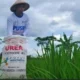 Balik Misteri Pupuk Subsidi di Konawe, Dugaan Pungutan dalam Distribusi Kian Menguat