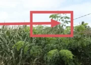 Kabel Diduga Milik PLN Menjuntai di Peppae, Kades Abbanuange: Keselamatan Warga Jangan Diabaikan