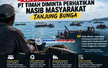 Jangan Hanya Hitung Produksi! PT Timah Diminta Perhatikan Nasib Masyarakat Tanjung Bunga