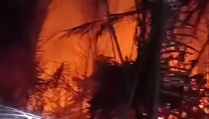 Area Sagu di Belakang SLBN Mapilli Terbakar, Penyebab Belum Terungkap