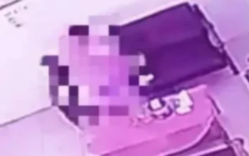 Video Asusila Diduga Libatkan Kepsek dan Guru SD di Pekalongan Viral, Pemkab Siapkan Sanksi Tegas