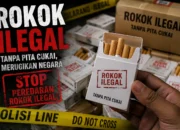 Rokok Tanpa Cukai Masih Beredar, Siapa yang Membekingi Bisnis Ilegal di Soppeng?